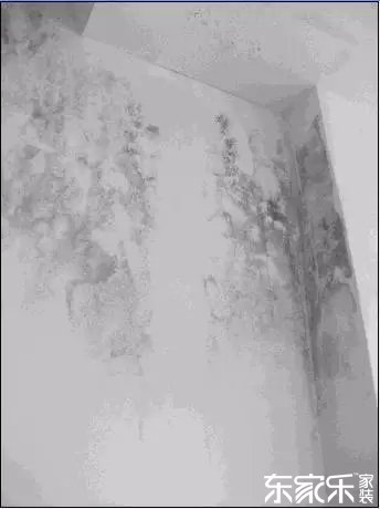 墻面發霉發黑怎么辦？墻面已經出現霉斑時怎么做？