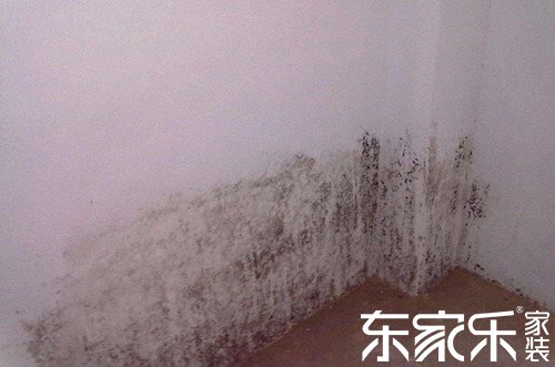 墻面發(fā)霉是什么原因導致的？